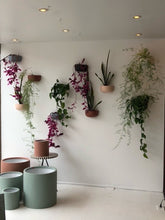 SOLID SHORT WALL PLANTER RUST | POT