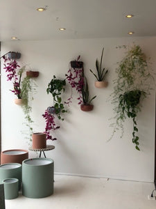 SOLID SHORT WALL PLANTER RUST | POT