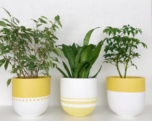 BOHO POT MUSTARD | PLANTER