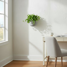 Modern home office with a desk, chair, and plant on a white wall.