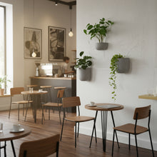 Modern cafe interior with wooden chairs and tables, wall-mounted plants, and a counter.
