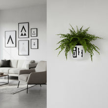 Modern living room with gray sofa, armchair, and wall art. Fern plant in a white pot on a white wall.