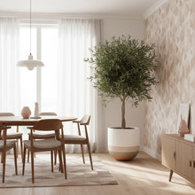 Modern dining room with wooden table, chairs, and a potted plant.