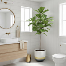 Bathroom interior with a potted plant, wooden vanity, and toilet.
