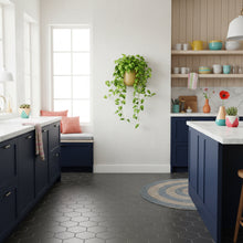 Modern kitchen with blue cabinets, white countertops, and decorative plants.