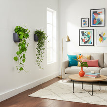 Modern living room with a gray sofa, colorful pillows, and wall art.