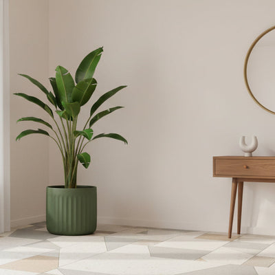 Stria Planter