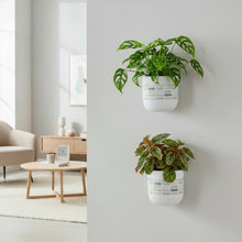 Two wall-mounted planters with green plants in a modern living room.