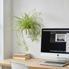 Modern office desk with computer, books, and a plant on a light-colored wall background