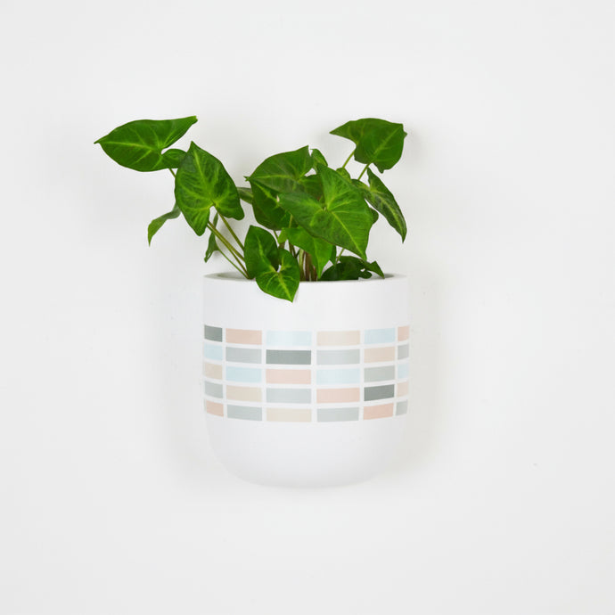 Green potted plant in a white pot with geometric pattern on a white background