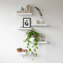 White wall shelves with decorative items including books, a plant, and a framed picture on a light gray background.