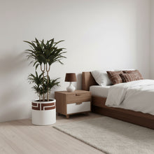 Modern bedroom with wooden bed, nightstand, and plant