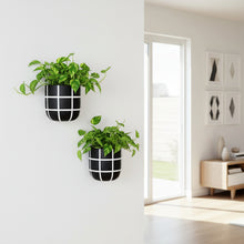 Two wall-mounted planters with green plants on a white wall, with a room in the background.