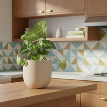 Modern kitchen with geometric tile backsplash, wooden cabinets, and a potted plant on the counter.