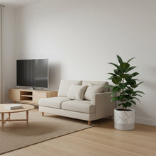 Modern living room with a beige sofa, TV, coffee table, and potted plant.