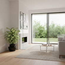 Modern living room with a large window, plant, and sofa.