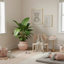 Children's room with a chair, toys, and a plant in a bright room.