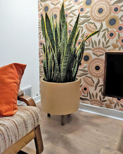 LOW CYLINDER POT | PLANTER