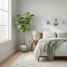 Modern bedroom with a bed, nightstand, and potted plant.