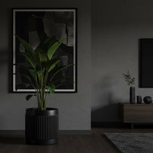 Modern living room with a plant, TV, and floor lamp in a dimly lit setting.