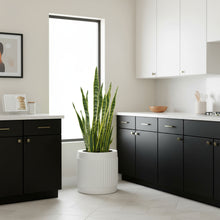 Modern kitchen with black cabinets, white countertops, and a potted plant.