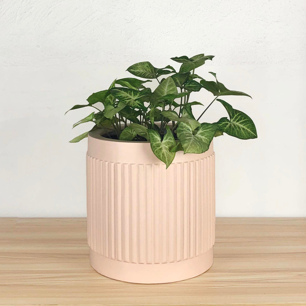 FLUTED CYLINDER POT BAKED CLAY | PLANTER