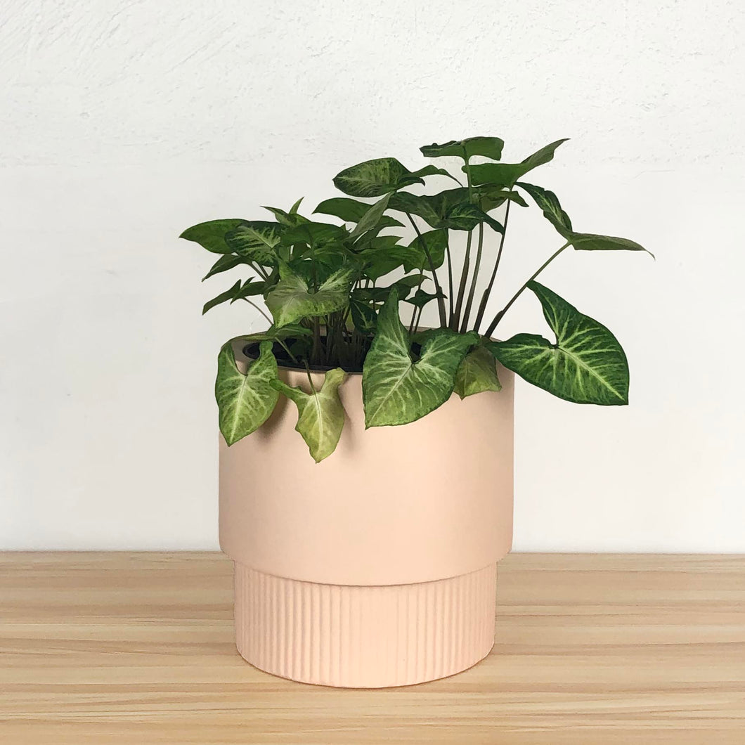 FLUTED BASE PEDESTAL POT BAKED CLAY | PLANTER
