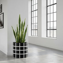 Modern living room with plant in a decorative pot.