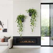 Modern living room with a black fireplace, white walls, and decorative plants.