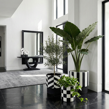 Modern entryway with monochromatic decor, including plants and a mirror.