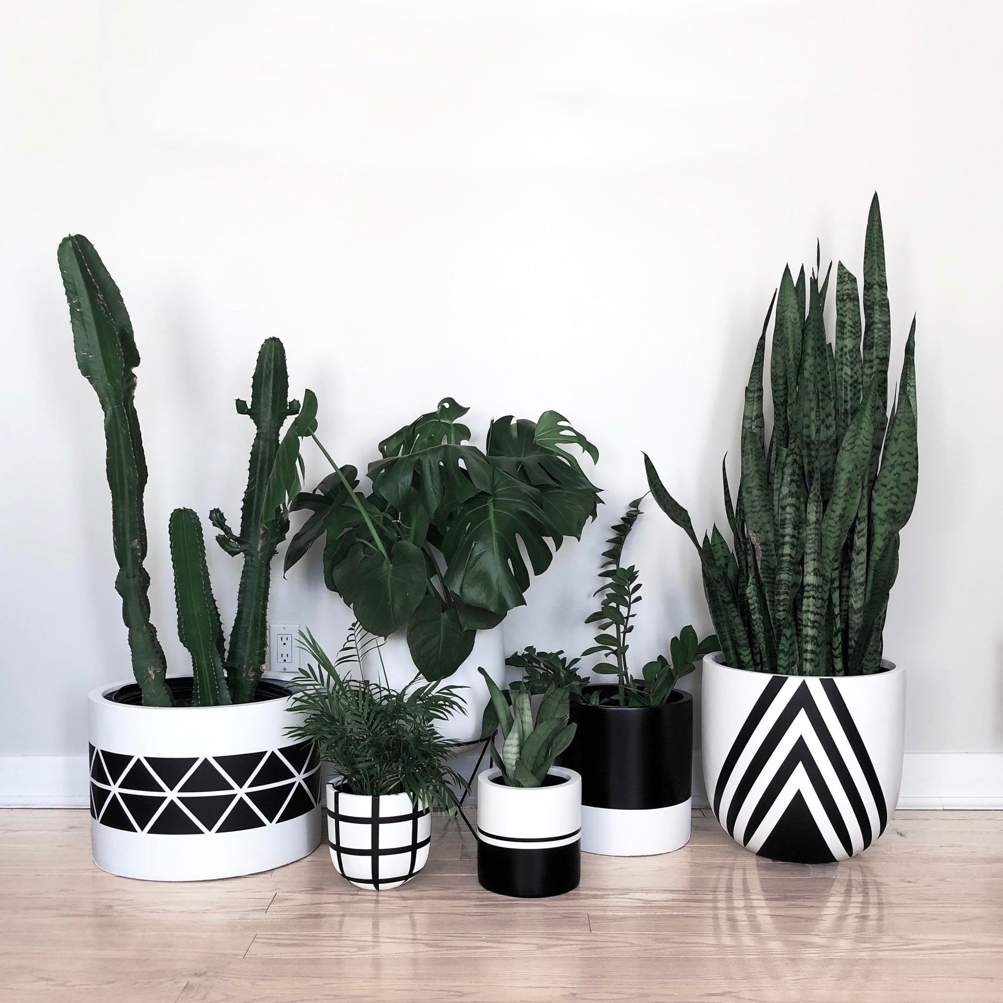 black and white pot plant Diamond Planter