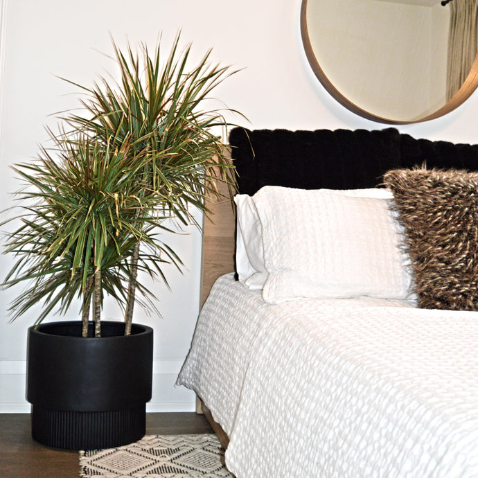FLUTED BASE PEDESTAL POT | PLANTER