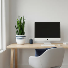 Modern home office with a desk, computer monitor, plant, and chair.