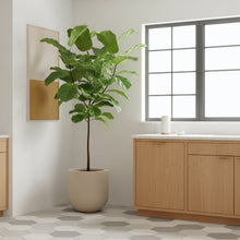 Modern kitchen with wooden cabinets, a plant, and a window.