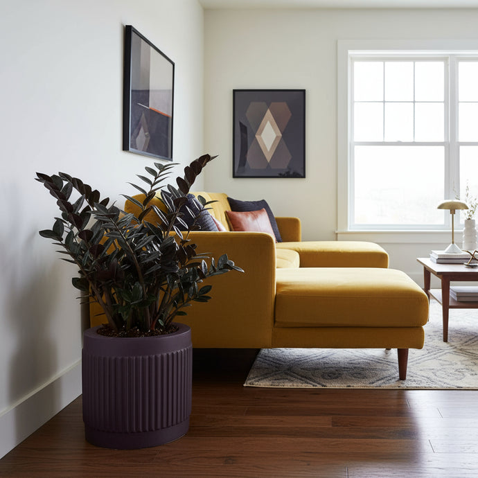 Living room with yellow sofa, plant, and framed art on a white wall.
