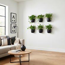 Living room with a wall of potted plants and a coffee table.