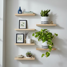 Wooden shelves with decorative items including plants, books, and a clock against a white wall.