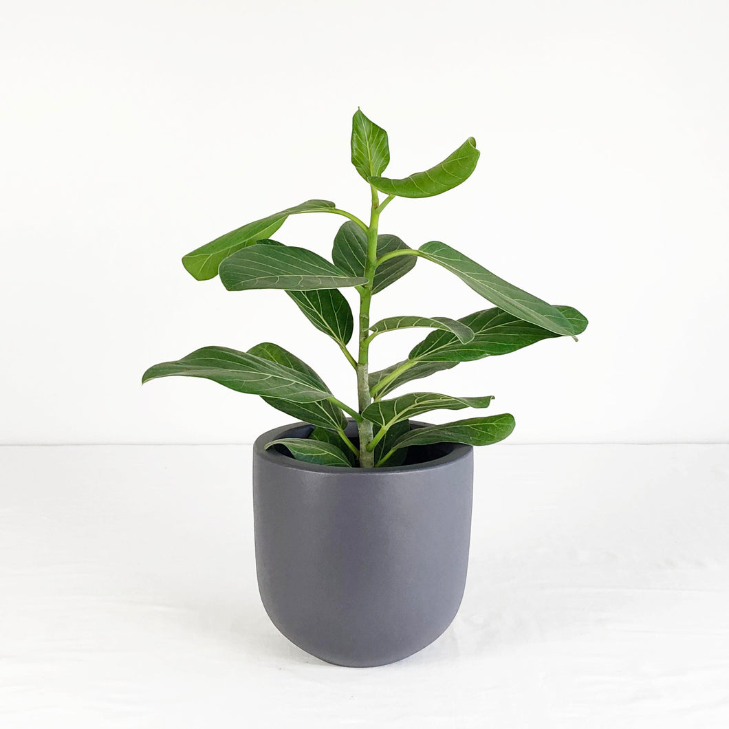 ESSENTIAL POT CHARCOAL | PLANTER