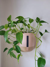CONNECTED TALL WALL PLANTER BAKED CLAY | POT