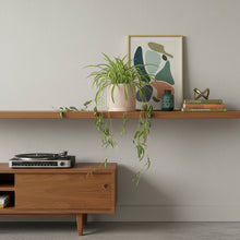 Wooden shelf with a plant, framed artwork, and record player against a plain wall.