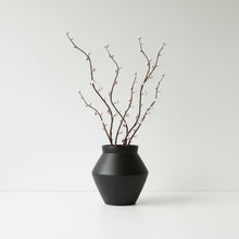 Black vase with branches on a white background