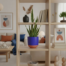 Tamra Planter