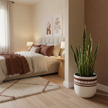 Neatly made bed with decorative pillows and a plant in a bedroom setting.