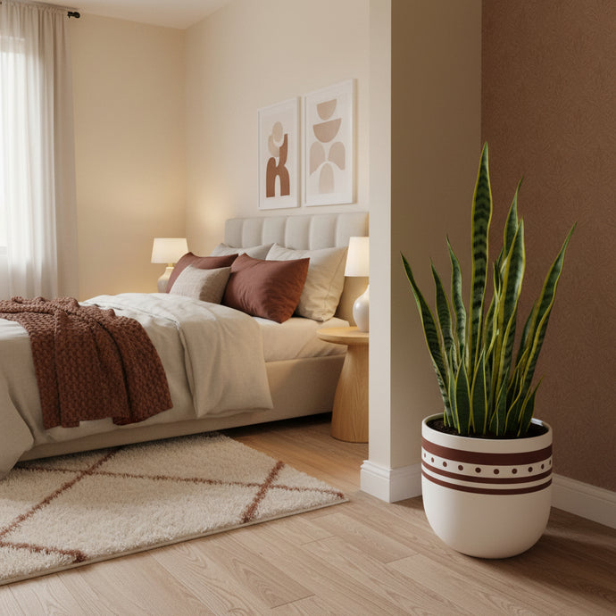 Neatly made bed with decorative pillows and a plant in a bedroom setting.