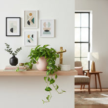 Essential Pot Baked Clay | Planter