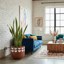 Modern living room with blue sofa, potted plant, and colorful rug.