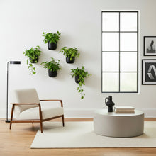 Modern living room with minimalist decor featuring five black wall-hanging planters with lush green plants, a mid-century armchair, concrete coffee table, and large window with natural light