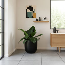 Modern interior with a potted plant, wooden cabinet, and abstract art on a white wall.