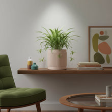 Living room with a green chair, plant on a shelf, and abstract art on the wall.