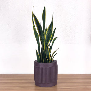 FLUTED CYLINDER POT | PLANTER